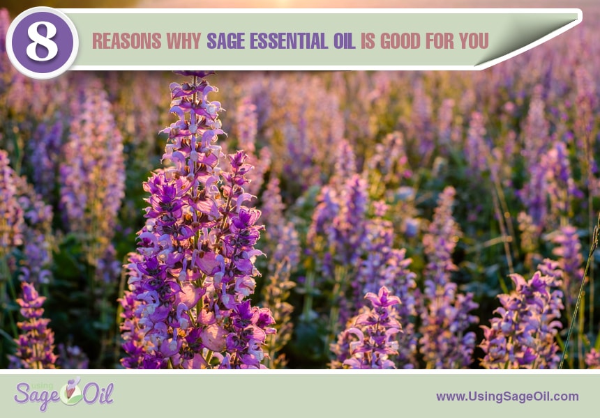  how to use sage essential oil